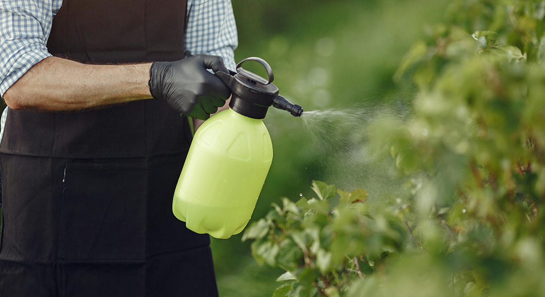 Spraying Spraying