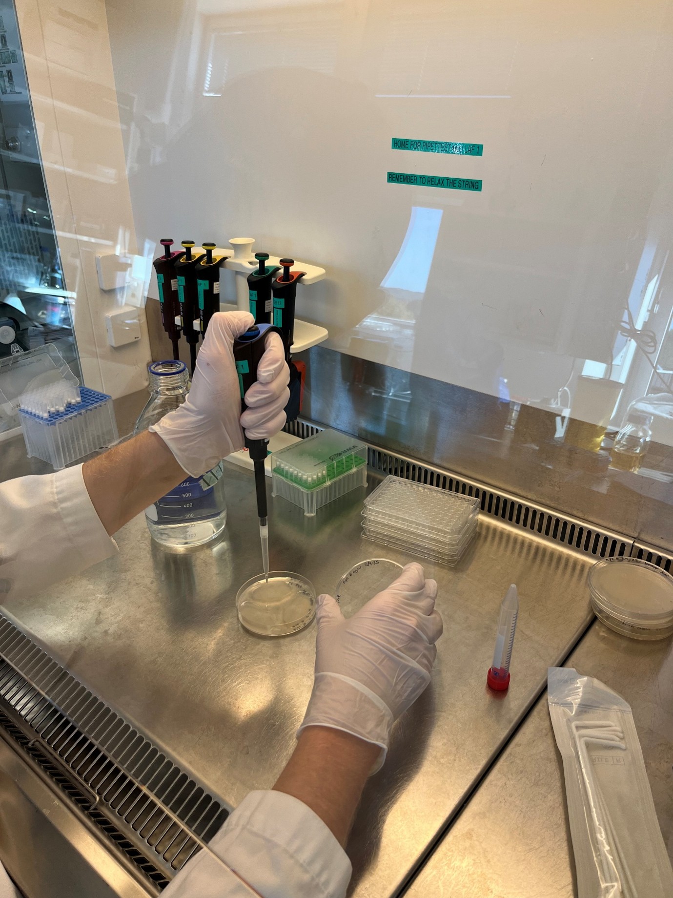 Picture of hands in a lab, doing experiments