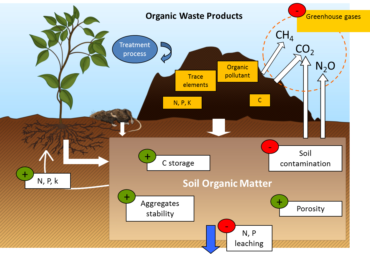 Carbon plants. Organic matter in the Soil. Soil Water Dynamics. EVO Soil. Chemical Organic Soil.